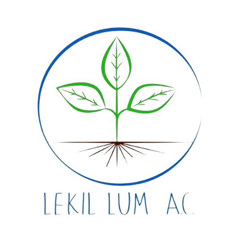 Lekil Lum