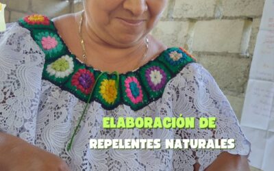 Taller de elaboración de repelentes naturales en coquite’el segunda