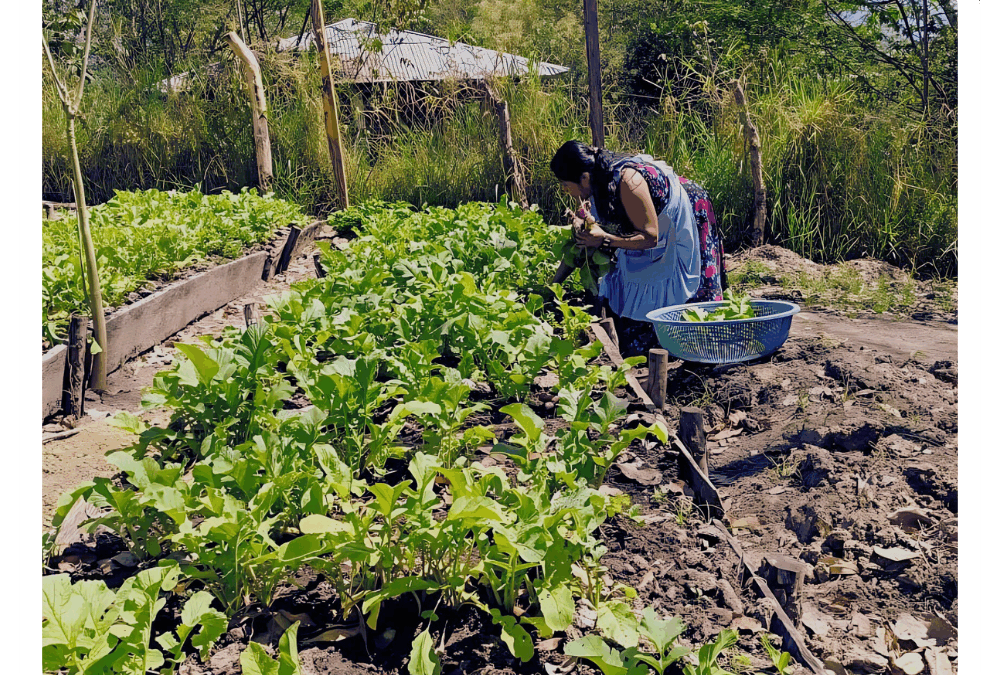 ¿Qué es la Agroecología?