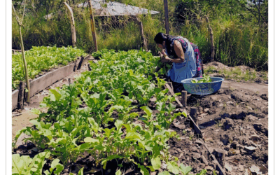¿Qué es la Agroecología?