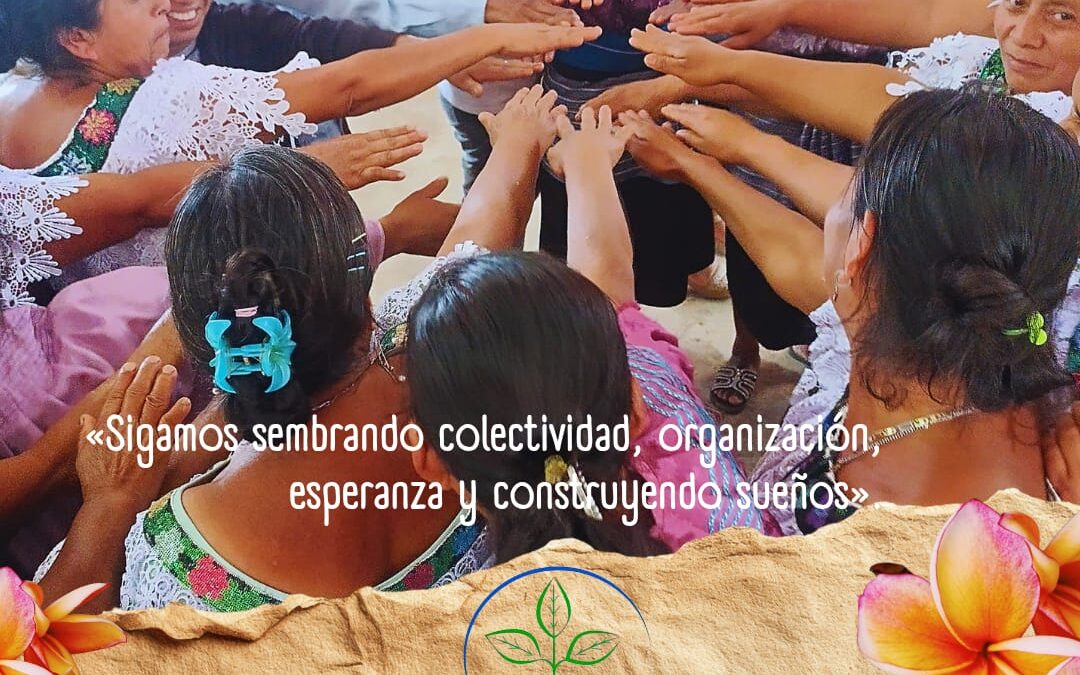 Siete años sembrando comunidad: mujeres y colectivos de Lekil Lum en Ocosingo y Chilón, Chiapas.