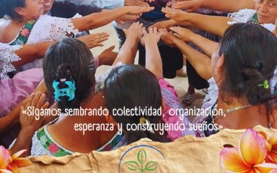 Siete años sembrando comunidad: mujeres y colectivos de Lekil Lum en Ocosingo y Chilón, Chiapas.
