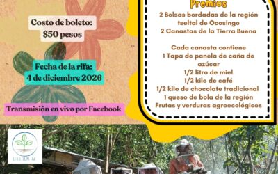 🐝 RIFA SOLIDARIA: APOYEMOS EL CAMINAR DEL COLECTIVO COROSTIC🍯✨